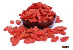 枸杞治疗痛风好吗 枸杞可以治痛风吗