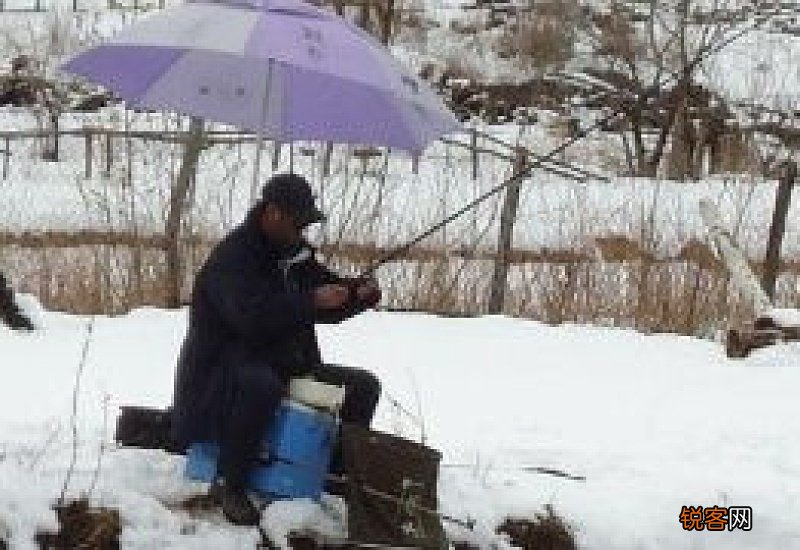 下雪天钓鱼用什么饵料好