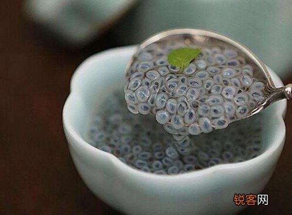 兰香子致癌是真的吗兰香子有哪些功效和作用呢 谣言