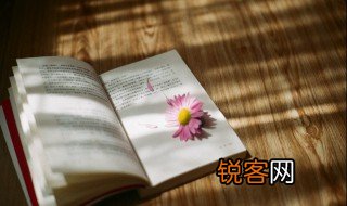 逆风如解意容易莫摧残意思 逆风如解意容易莫摧残是什么意思