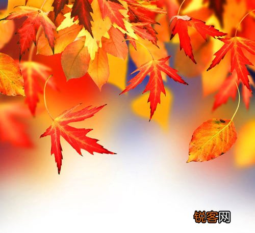 秋季多风眼睛保湿工作不可省