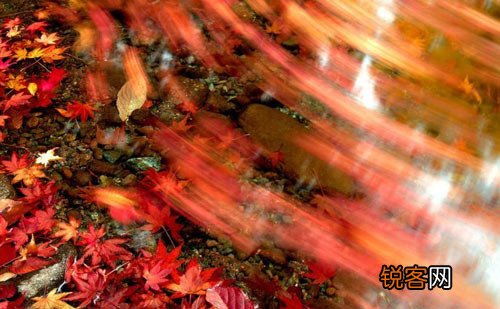 秋季多风眼睛保湿工作不可省