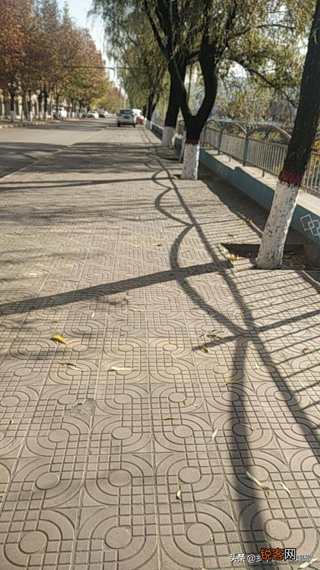 怎样才能每天查看自己家的电费？