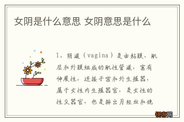 女阴是什么意思 女阴意思是什么