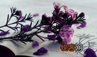 绝处逢生什么意思 绝处逢生解释