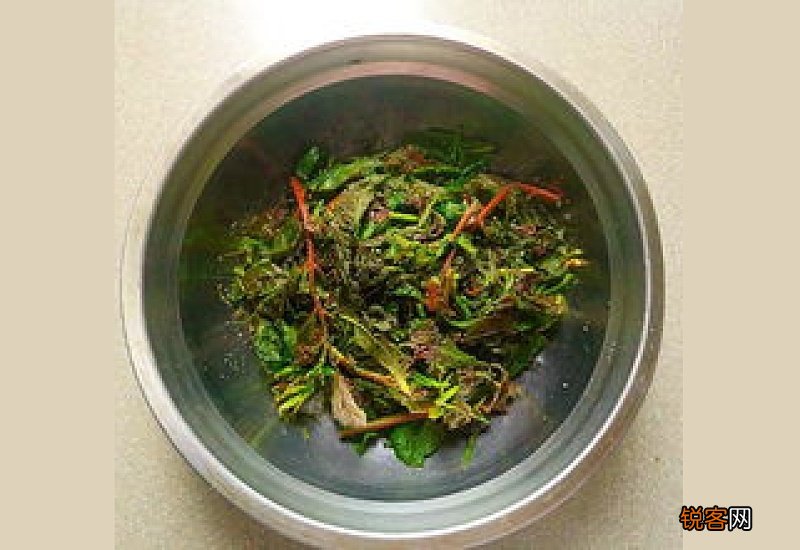 腌香椿对身体的害处有哪些 腌香椿对身体的害处