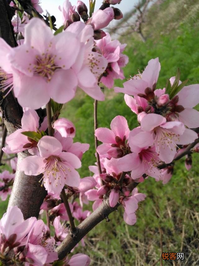 大家还记得小时候读过的童话故事吗？