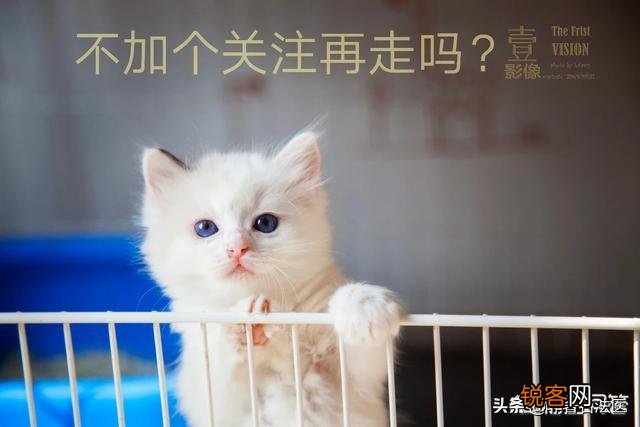 有人说今后几年最热门的职业是医生,而且是精神科的,你赞同吗？
