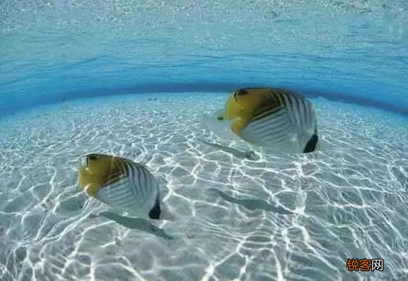 滴水的方式给鱼增氧气