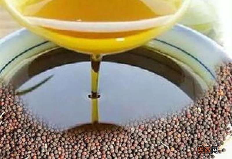 低芥酸菜籽油的好处与坏处 家庭长期吃什么油最好