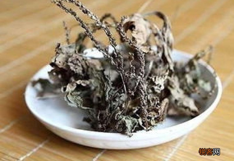 蛤蟆叶的功效与作用