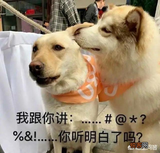 想做童装,但又不敢做没经验怕压货怎么办呢？