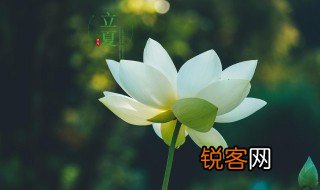 二十四节立夏的含义 二十四节立夏的含义期解释