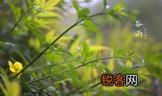 关于谷雨的物候特征 谷雨的物候特征有哪些