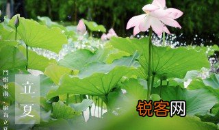 立夏含义 立夏介绍