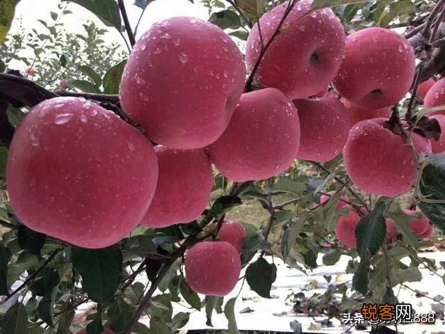 如何改变炒股频繁交易的毛病？