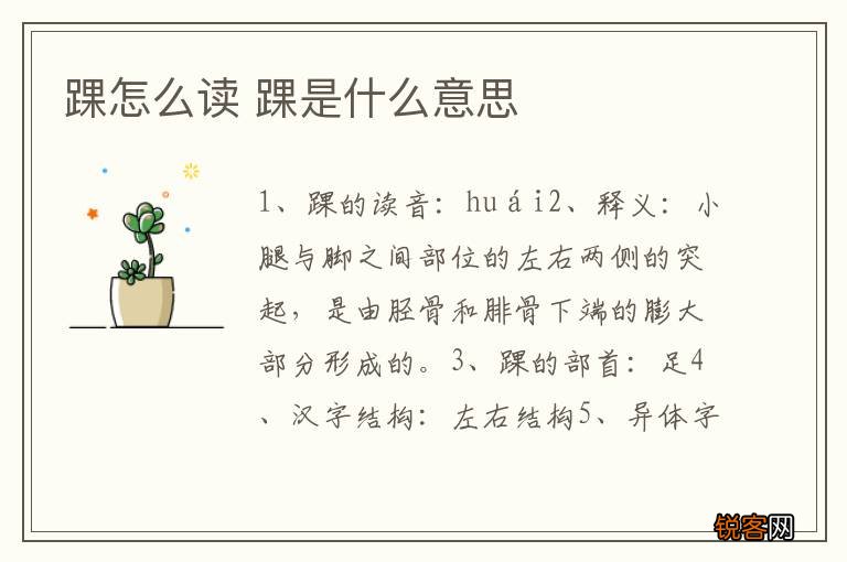 踝怎么读 踝是什么意思
