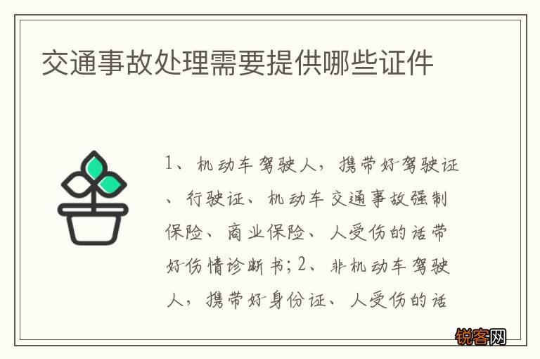 交通事故处理需要提供哪些证件