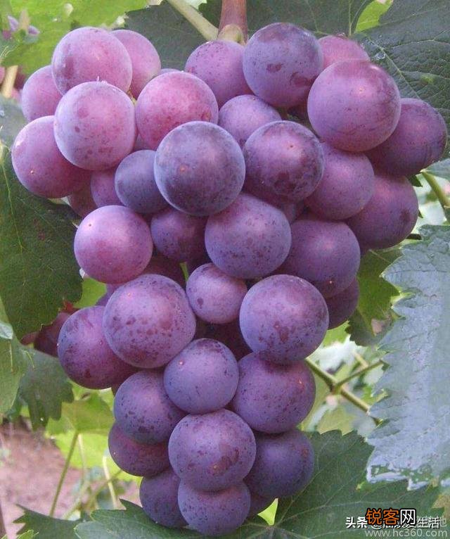 现在中秋节流行送什么礼物？