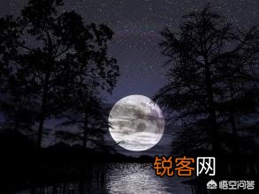 中秋送什么礼品给爸妈？