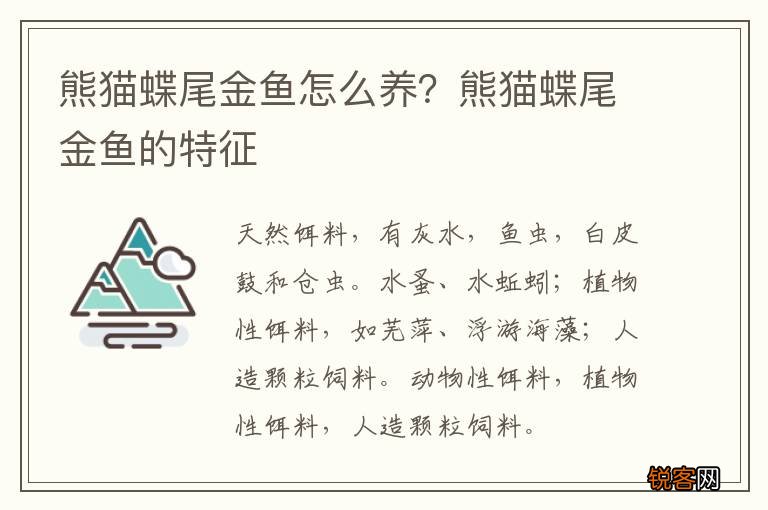 熊猫蝶尾金鱼怎么养？熊猫蝶尾金鱼的特征