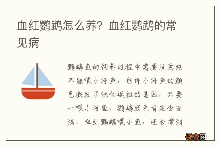 血红鹦鹉怎么养？血红鹦鹉的常见病
