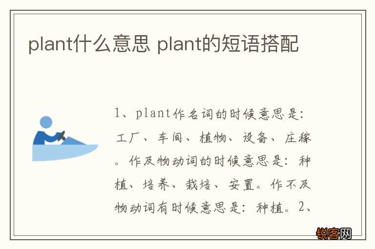 plant什么意思 plant的短语搭配