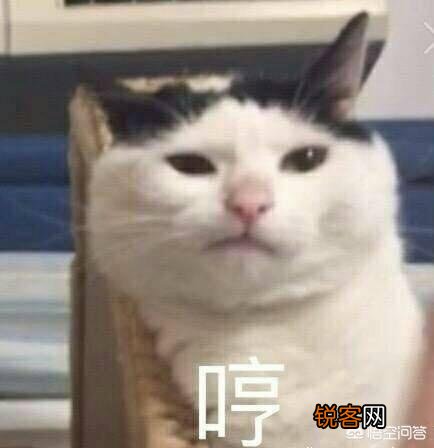 一般中秋都送什么礼物？