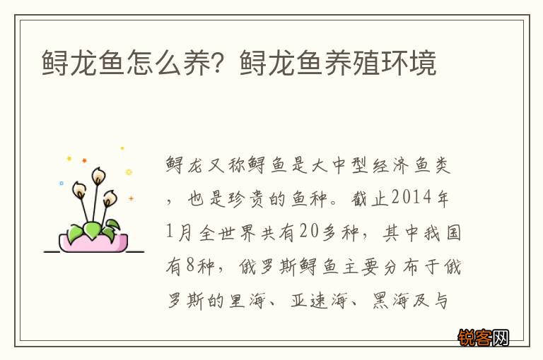 鲟龙鱼怎么养？鲟龙鱼养殖环境