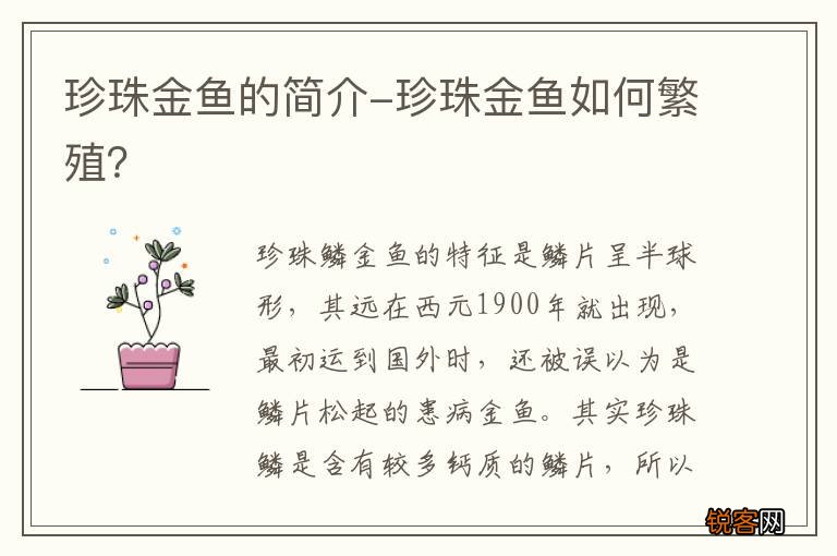 珍珠金鱼的简介-珍珠金鱼如何繁殖？