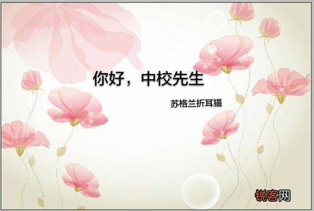 有没有好看的京片子高干文推荐呢？