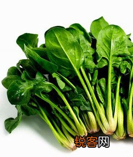 补钙食物十大误区