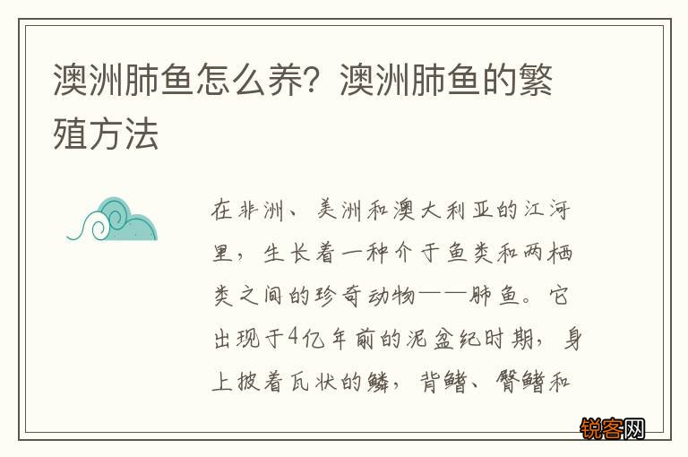澳洲肺鱼怎么养？澳洲肺鱼的繁殖方法