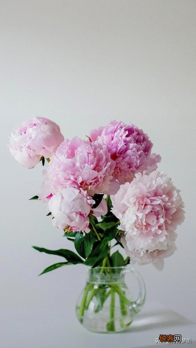 中秋节给领导送礼送什么好？