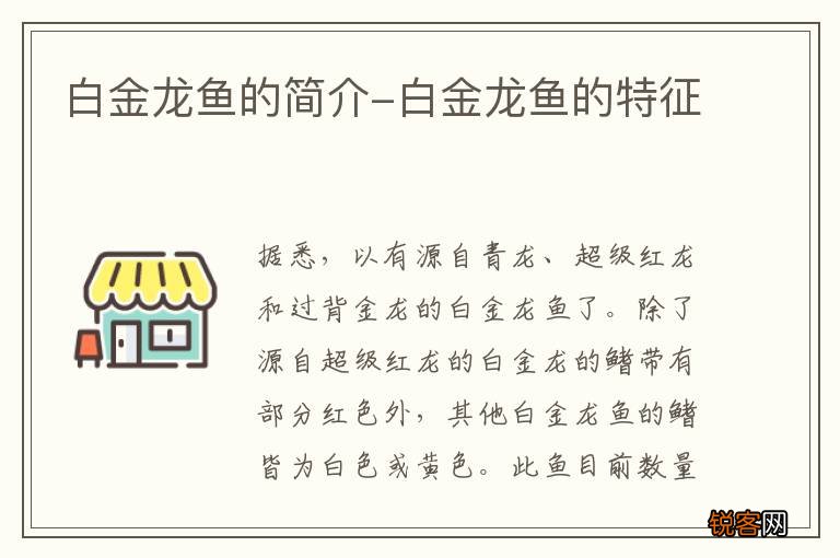 白金龙鱼的简介-白金龙鱼的特征
