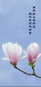女朋友生日送什么创意的礼物？