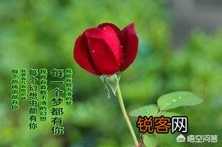 女朋友过生日,除了玫瑰花和巧克力,还能送什么？