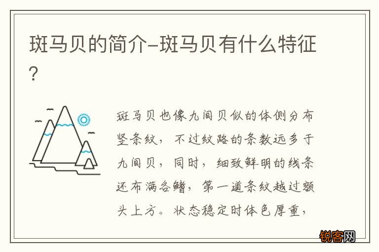 斑马贝的简介-斑马贝有什么特征？