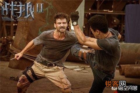 吴京主演的《战狼2》和《流浪地球》的票房都名列华语电影票房前十,你对此有何看法？