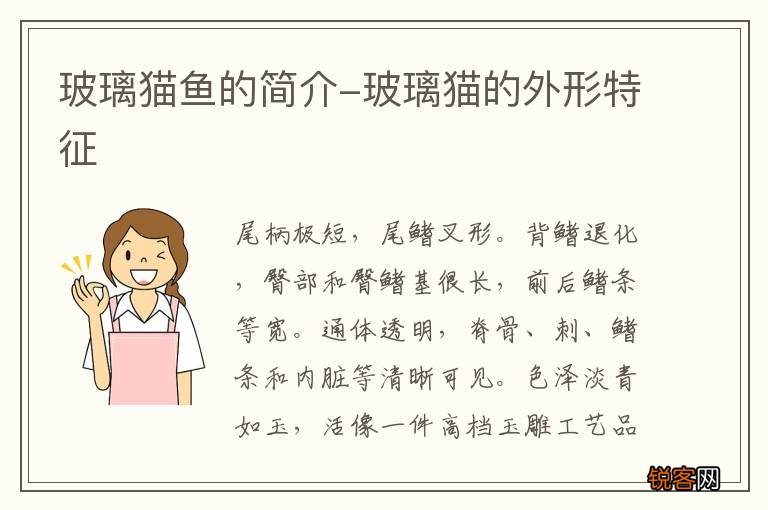 玻璃猫鱼的简介-玻璃猫的外形特征