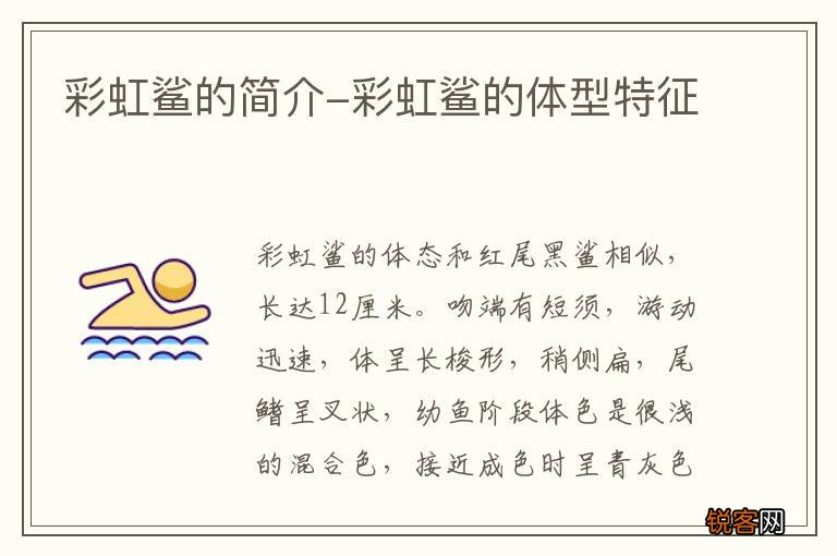 彩虹鲨的简介-彩虹鲨的体型特征