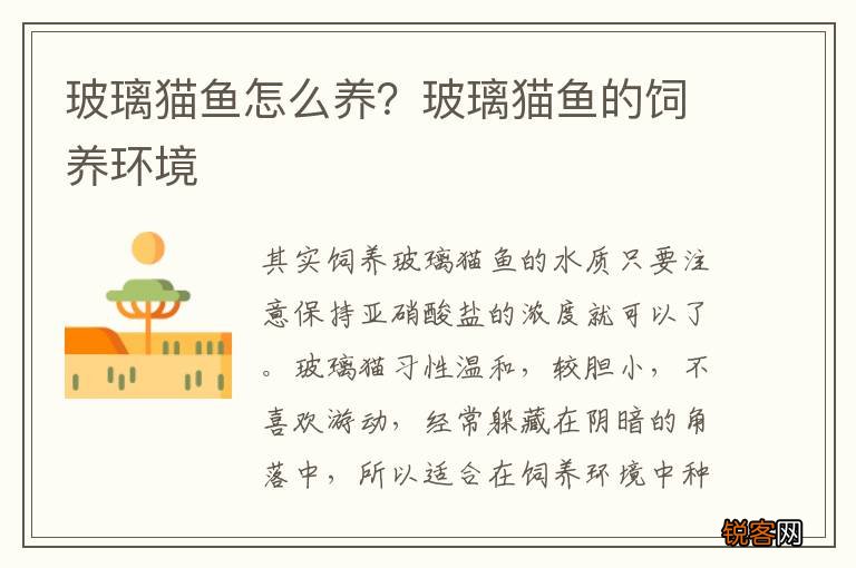 玻璃猫鱼怎么养？玻璃猫鱼的饲养环境