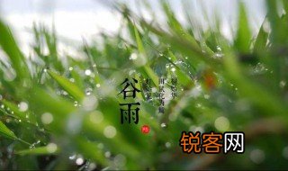 谷雨的拼音怎么写 谷雨节气介绍