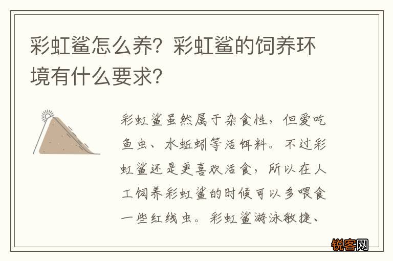 彩虹鲨怎么养？彩虹鲨的饲养环境有什么要求？