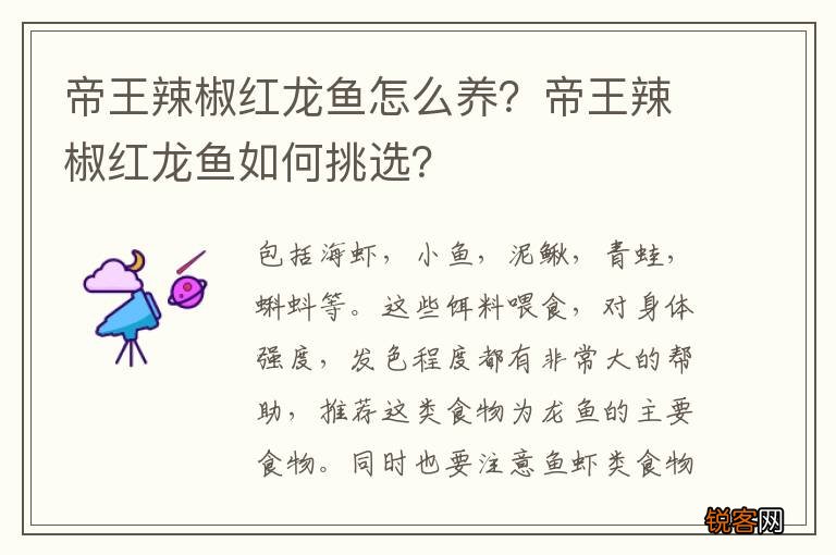 帝王辣椒红龙鱼怎么养？帝王辣椒红龙鱼如何挑选？