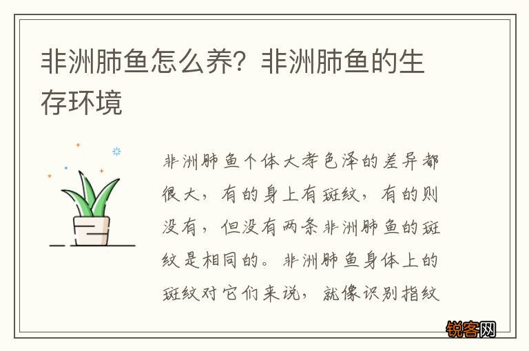 非洲肺鱼怎么养？非洲肺鱼的生存环境