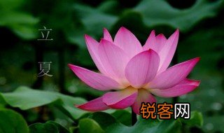 立夏前是什节气 哪一个节后过后系立夏