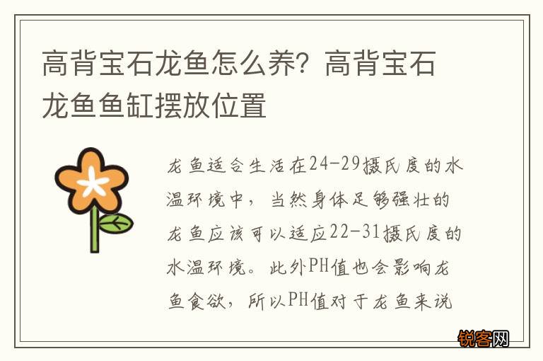 高背宝石龙鱼怎么养？高背宝石龙鱼鱼缸摆放位置