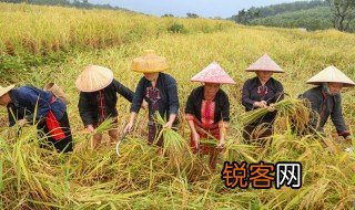 稷怎么读 稷如何拼