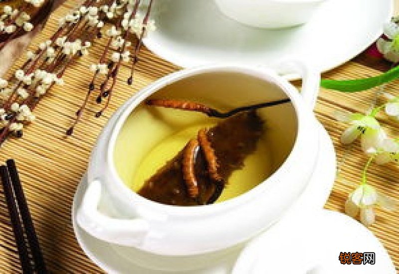 虫草可以泡茶叶喝吗 虫草可以和什么搭配泡茶